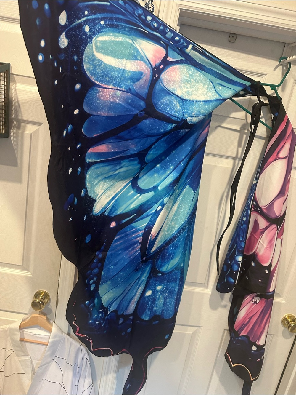 Butterfly wings - Picture 2 of 7